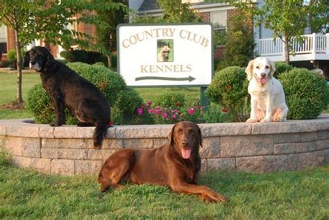Country club kennels - Country Club Kennels & Training is a one-of-a-kind boarding and training facility with locations in Fauquier and Orange County, Virginia. Depending on whether your pet's visit is for boarding or training, we provide: * Luxurious boarding accommodations in a stress-free country environment where fun, games, exercise, love and attention abound